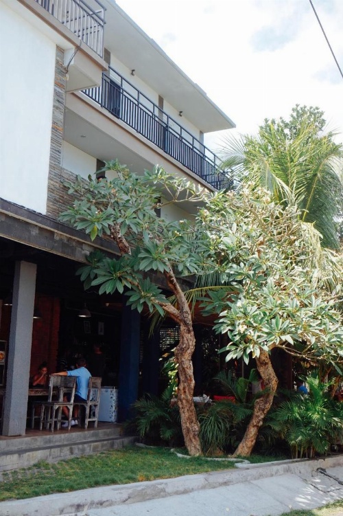 Double A House image 10